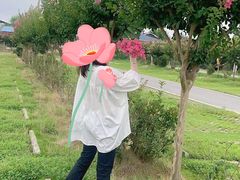 -武汉紫薇都市田园