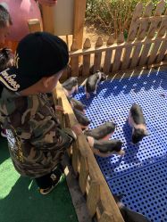 -萌宠亲子动物乐园(槐房万达店)