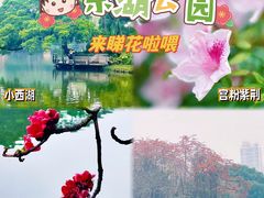 -东山湖公园