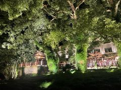 -普陀山雷迪森庄园