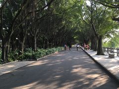 -大湾区中央湿地公园