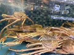 -宝燕壹号(徐汇店)