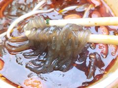 -绵阳人民公园(涪城区)