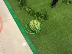-巴黎春天(浦建店)