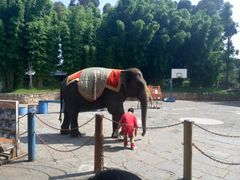 -云南民族村