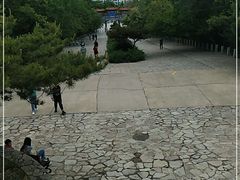-府君山公园