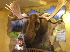 -信不信由你博物馆