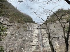 -朱雀国家森林公园
