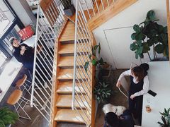 -隹木咖啡馆(宝龙广场店)