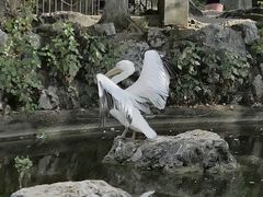 -昆明动物园