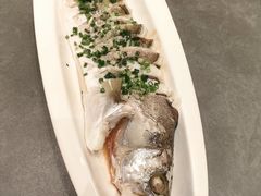 -船歌·鱼水饺青岛菜(金狮广场店)