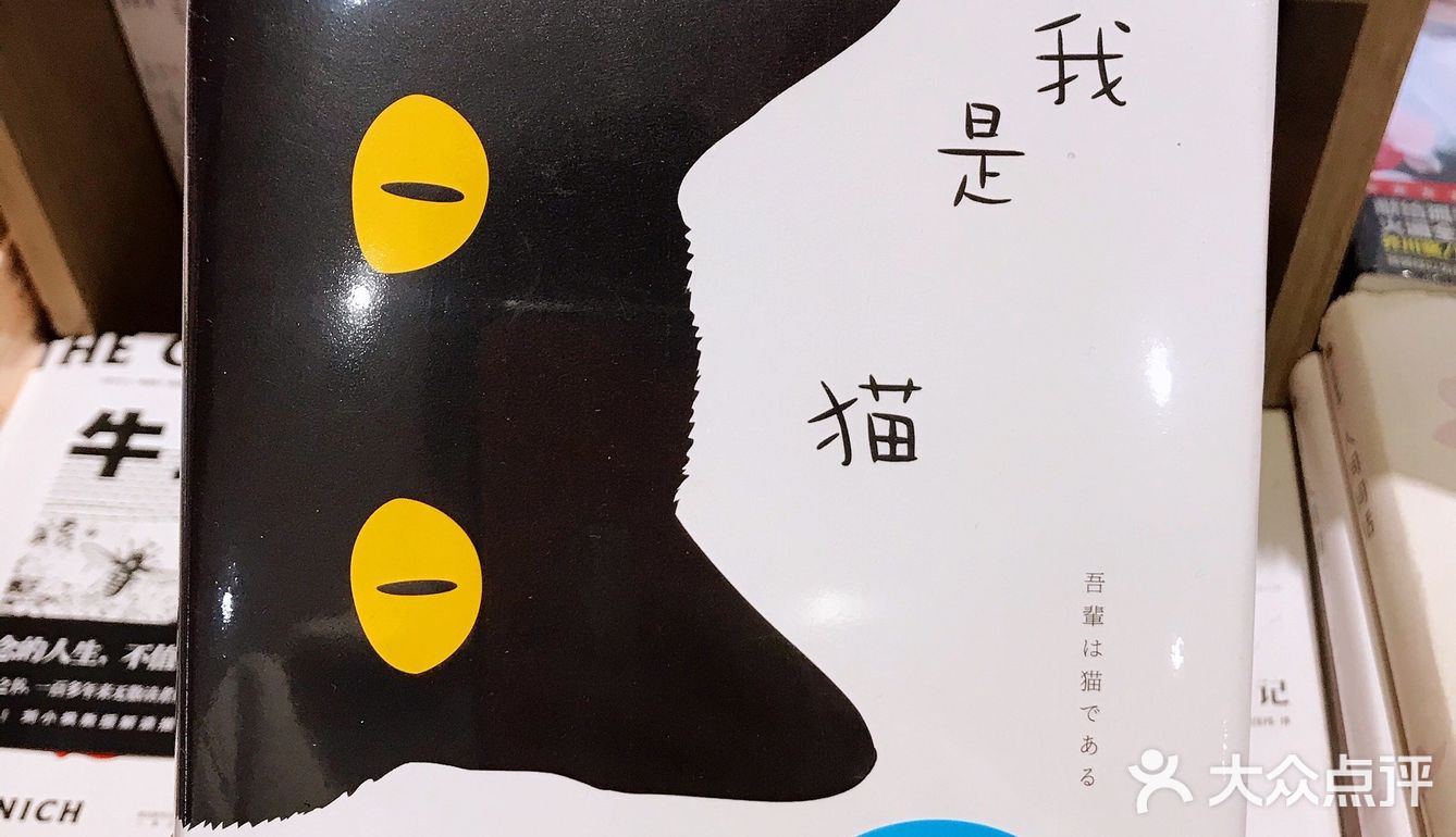 长沙探店 | 没想到这家书店竟然🈶️50年的历史了！！！