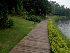 -南国桃园旅游度假区