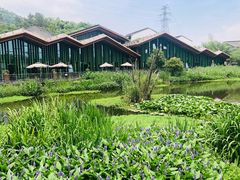 -西湖风景区-江洋畈生态公园