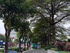 -东莞市可园博物馆