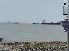 -上海滨江森林公园