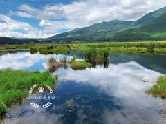 -腾冲北海湿地