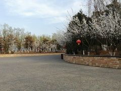 -东方华地城湿地温泉度假区