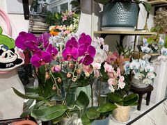 -FEI FEI FLOWER鲜花店·气球派对·宝宝宴布置(虹口德必运动Loft店)