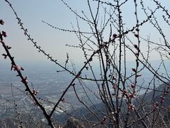 -北京凤凰岭