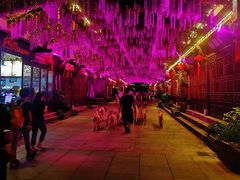 -婺源梦里老家大型山水实景演出