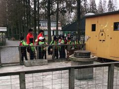 -前小桔亲子创意农场·草莓采摘·露营烧烤