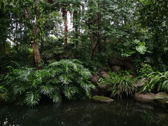 -中国科学院华南植物园