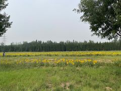 -汉长安城未央宫国家考古遗址公园