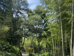 -黄公望隐居地
