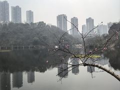 -重庆彩云湖湿地公园
