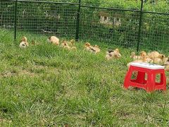 -长安上水缘度假庄园