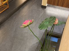 -九田家黑牛烤肉料理(衡百国际店)