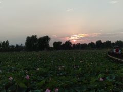 -羊亭河湿地公园