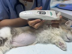 -谐和贝康宠物医院24小时·宠保定点(急重症转诊中心)