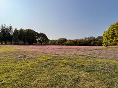 -福建鲤鱼洲酒店