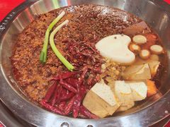 谭血鸭红锅底-谭鸭血老火锅(漳州路店)