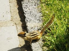 -峡谷浮石林景区