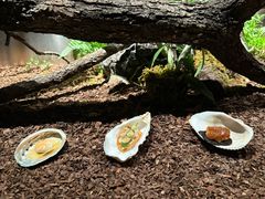 -曲廊院(东四十一条店)