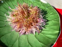 -荷风细雨·中国茶宴(碧云店)