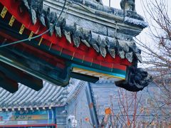 -莲池书院博物馆