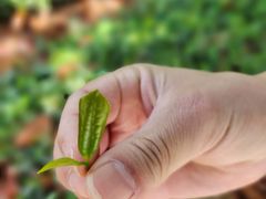 -敬亭山风景名胜区