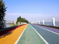 -贡湖湾湿地公园