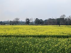 -中国天府农业博览园