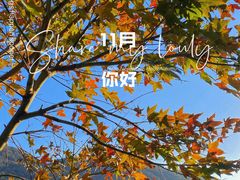 -广州市石门国家森林公园