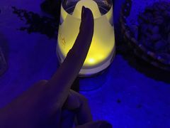 -288 Livehouse 酒吧(思南公馆店)