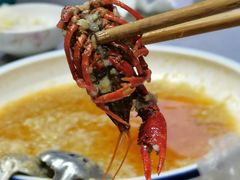 -小眼睛餐饮&杨杨夜宵