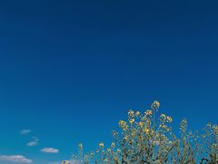 -阿嬷手作(成都万象城店)