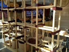 -辛杨和·大耳朵驴肉馆(银川总店)