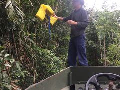 -热带雨林自然公园