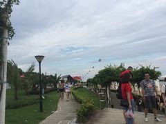 -碧海金沙
